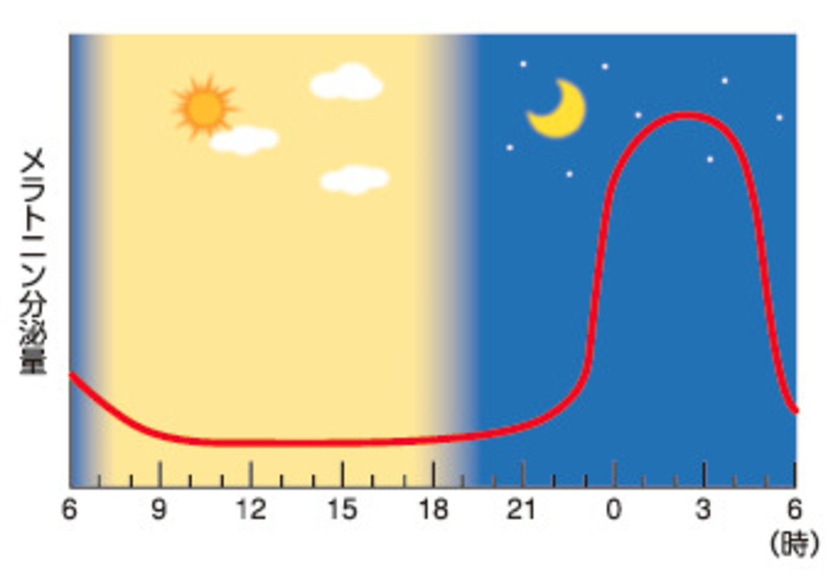 メラトニン分泌量を表すグラフ